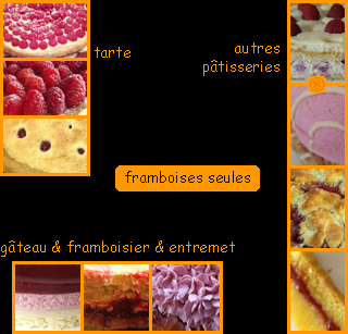 lien recette framboises et mures